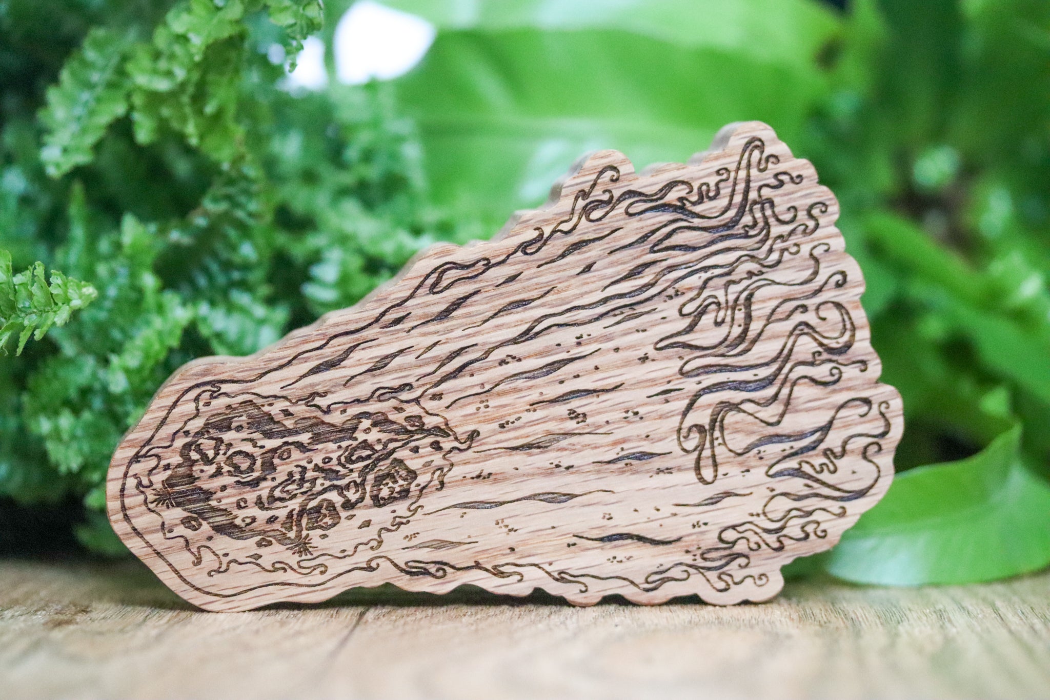 Wooden oak educational comet toy lasered artists impression. Ferns in the background behind out of focus